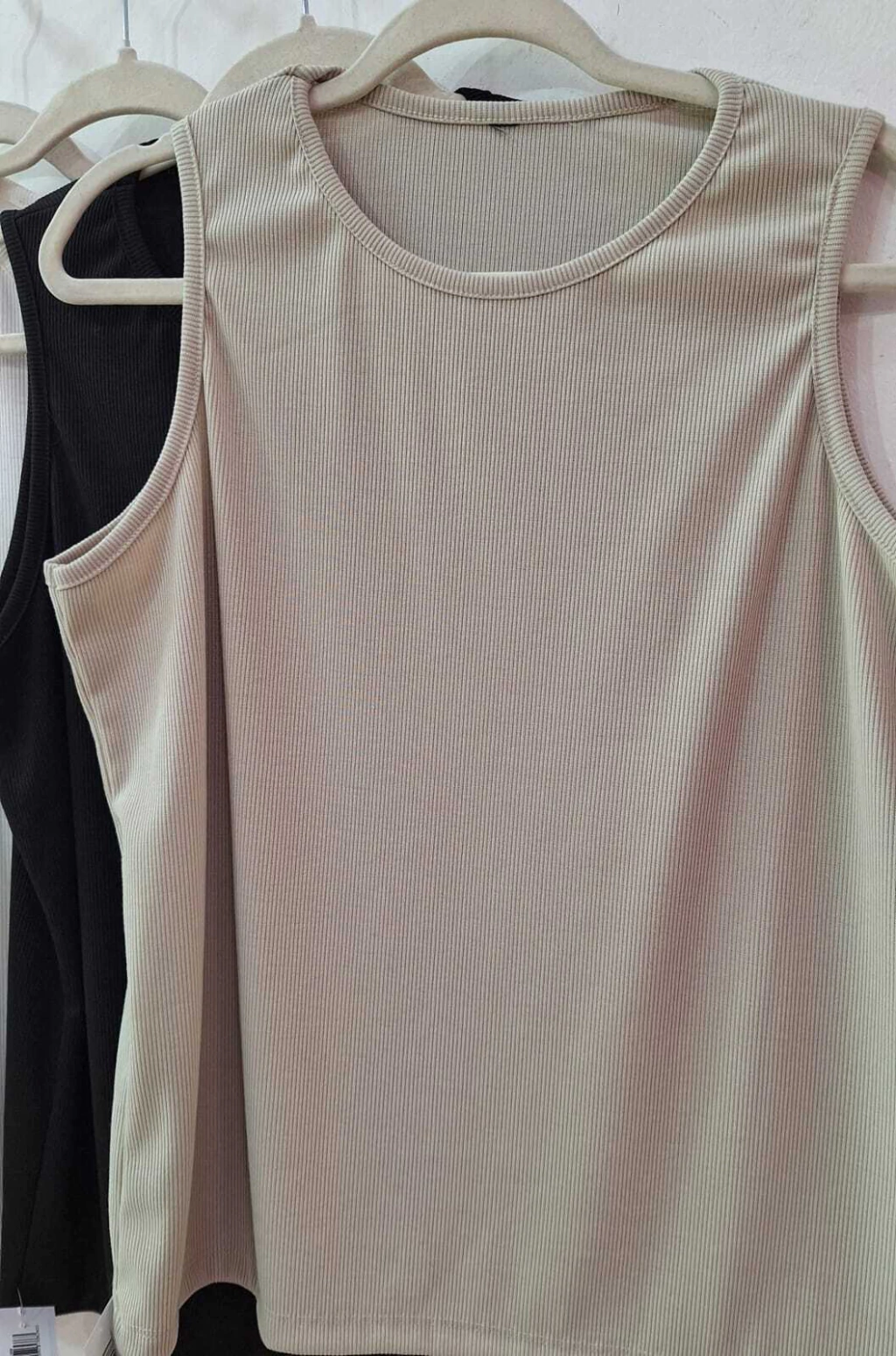 MUSCULOSA BASICA