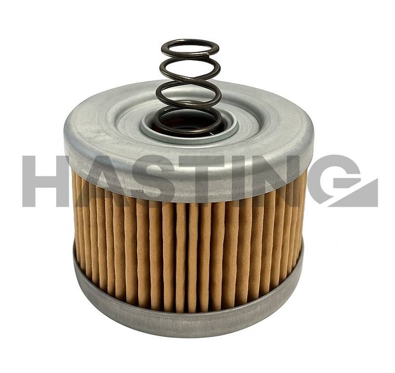 Filtro de aceite Hasting TM7002