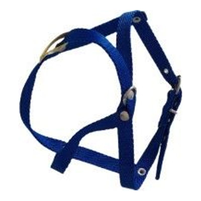 Pretal 2 de Nylon (60CM)